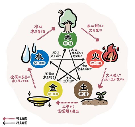 五行 冬|｢水｣タイプが、冬に取り入れるべき五行とは？ 